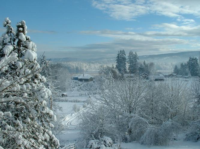 View from home in Duncan